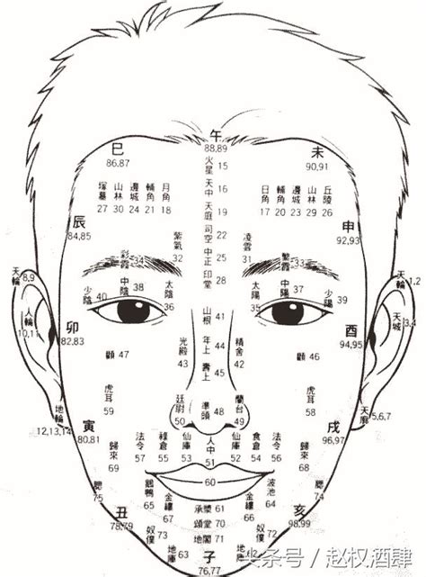 面相年齡圖|【面相年齡圖】面相年齡速測圖！用你的臉解開命運密碼